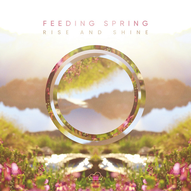 Rise and Shine album cover
