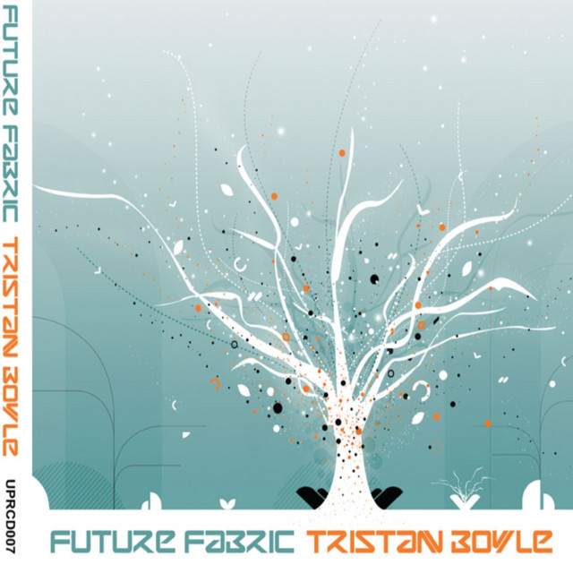 Future Fabric album cover