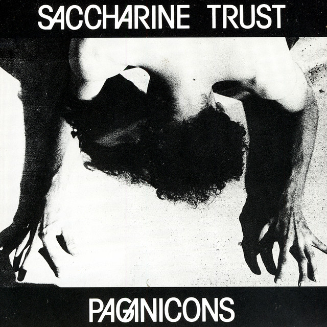 Paganicons album cover