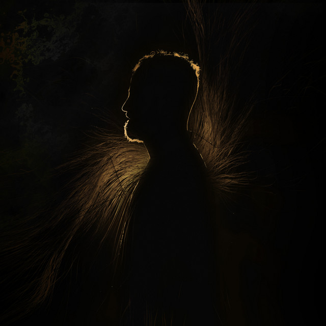 Signature album cover