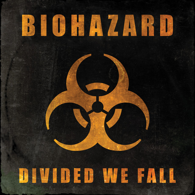 Divided We Fall album cover