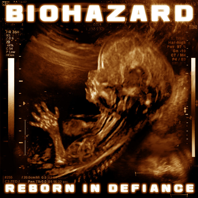 Reborn In Defiance album cover