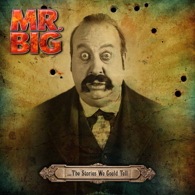 ...The Stories We Could Tell album cover