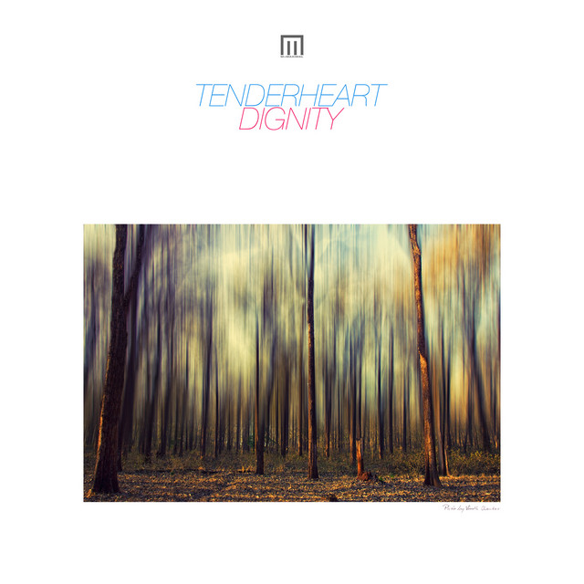 Dignity album cover