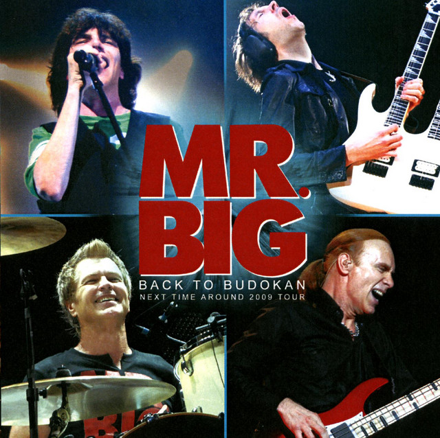 Back To Budokan album cover