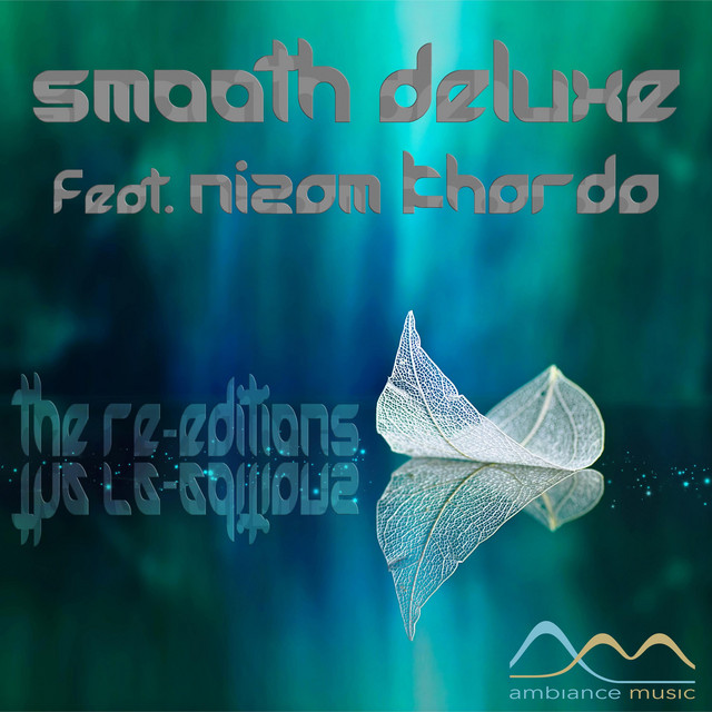 The Re-Editions album cover