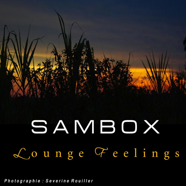 Lounge Feelings album cover