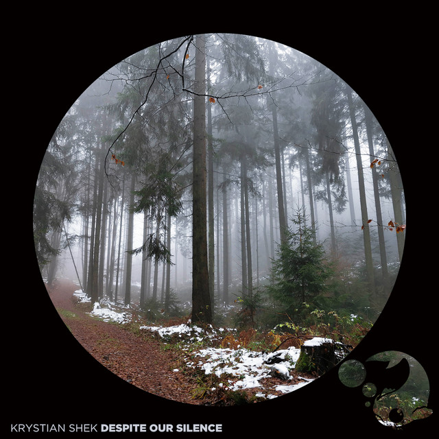 Despite Our Silence album cover