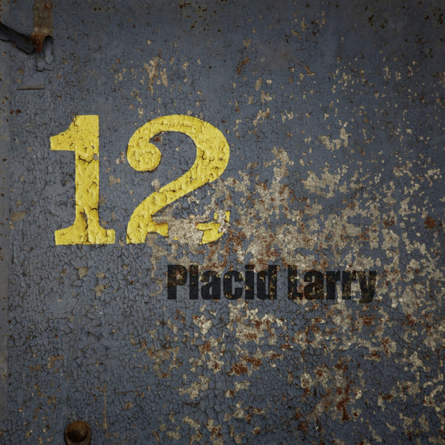 12 album cover