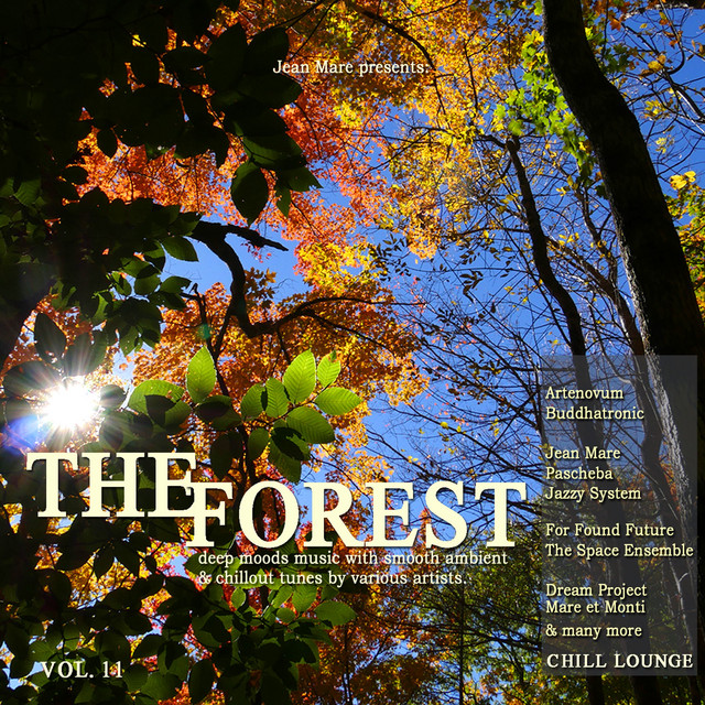 The Forest Chill Lounge, Vol. 11 (Deep Moods Music with Smooth Ambient & Chillout Tunes) album cover