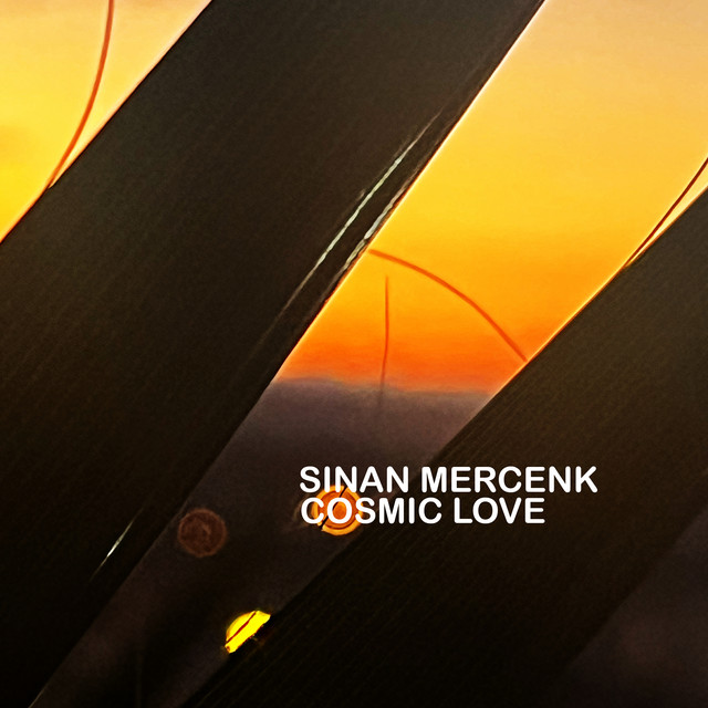 Cosmic Love album cover