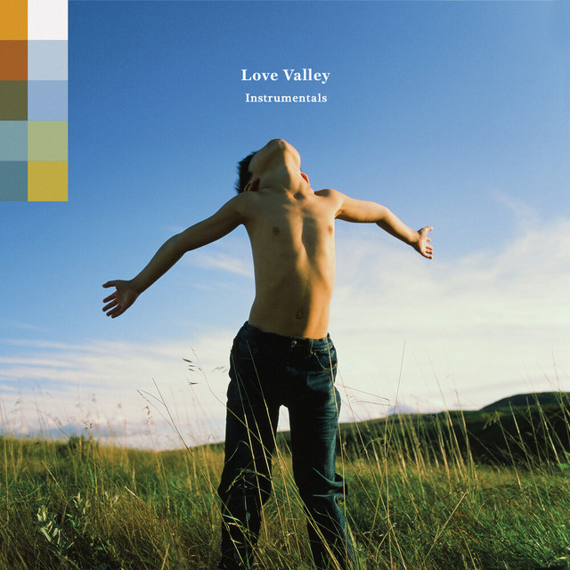 Love Valley Instrumentals album cover