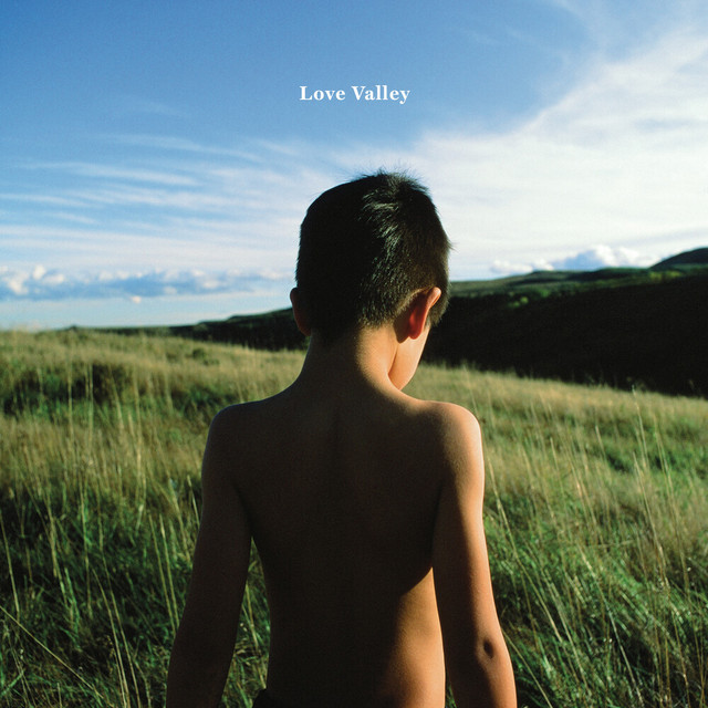 Love Valley album cover