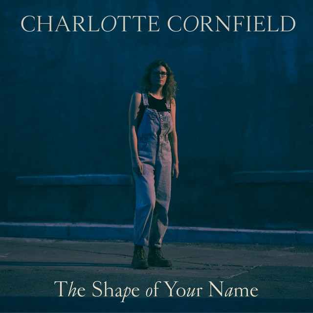 The Shape of Your Name album cover