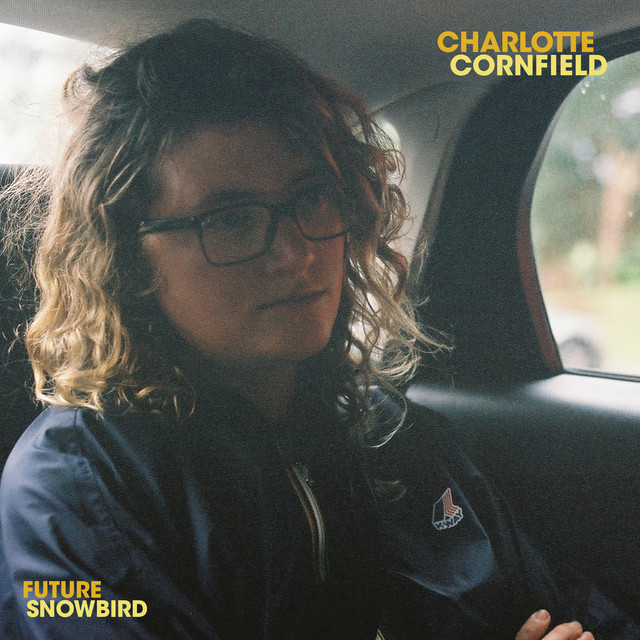 Future Snowbird album cover