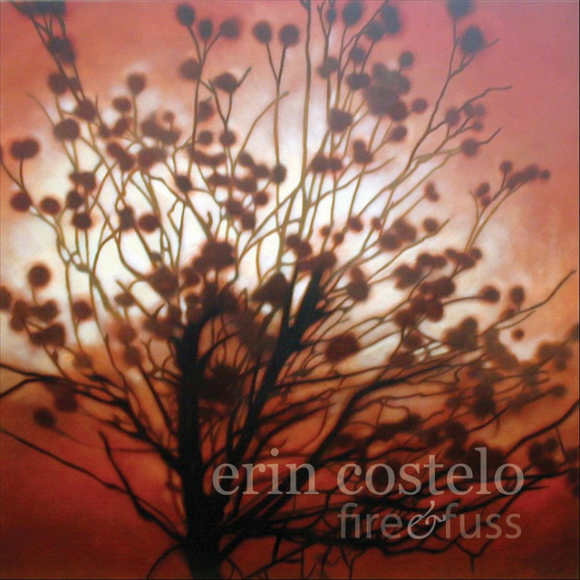Fire & Fuss album cover