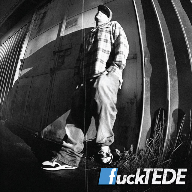 FuckTEDE album cover