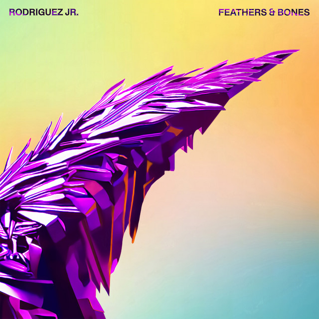 Feathers & Bones album cover