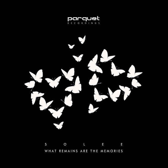 What Remains Are the Memories album cover