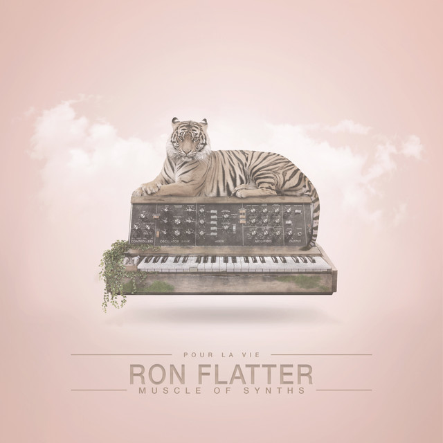 Muscle of Synths album cover