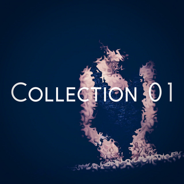 Collection 01 album cover