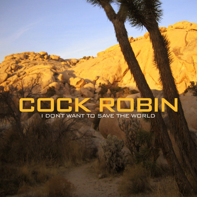 I Don't Want To Save The World album cover