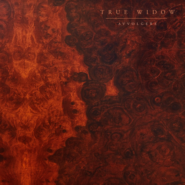 AVVOLGERE album cover