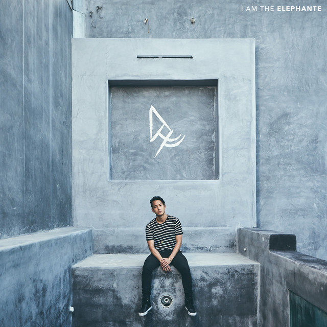 I Am The Elephante album cover