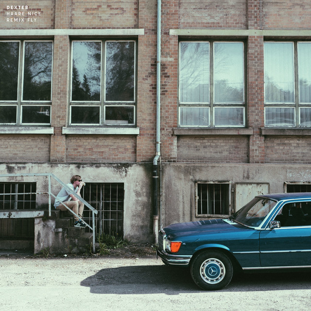 Haare nice, Remix fly album cover