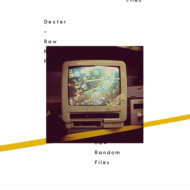 Raw Random Files album cover