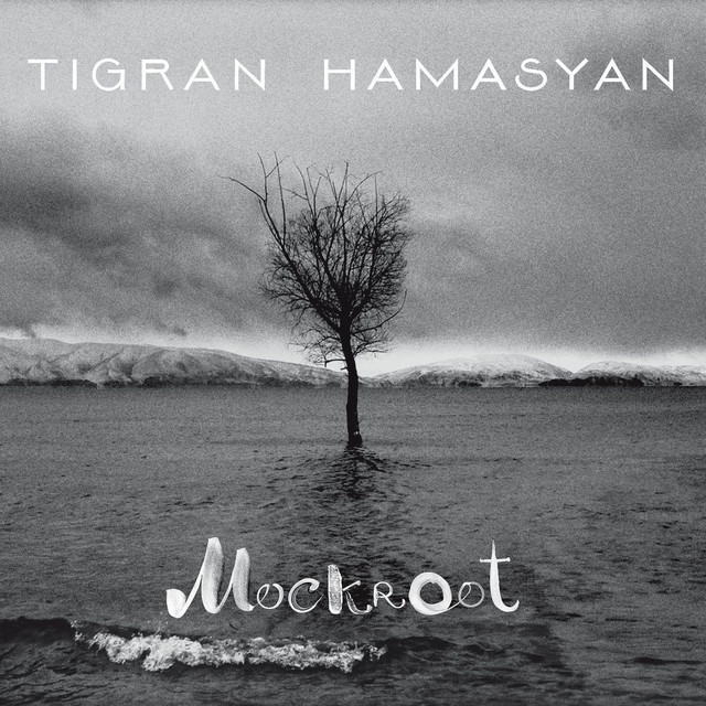 TC Electronic Flashback Delay as heard on Mockroot by Tigran Hamasyan (2015)