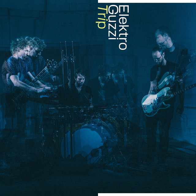Trip album cover