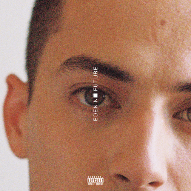 no future album cover