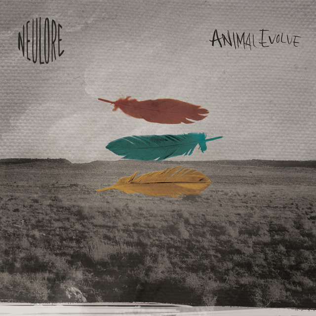 Animal Evolve album cover
