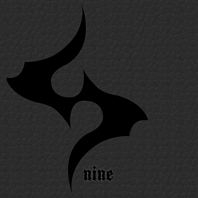 NINE album cover