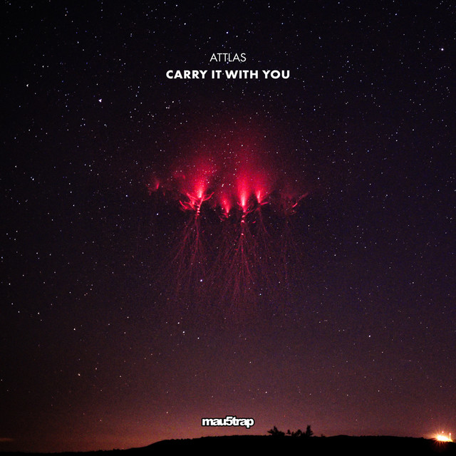Carry It with You album cover