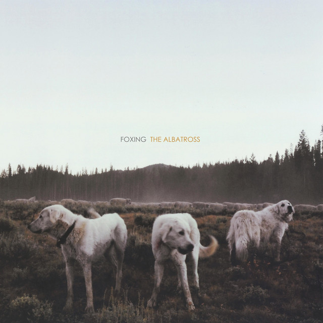 The Albatross album cover