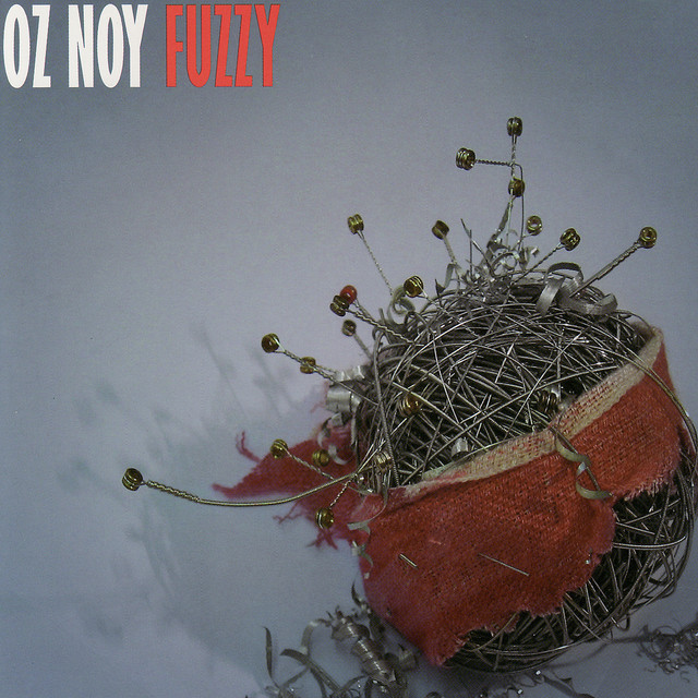 Fuzzy album cover