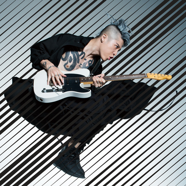 Electro-Harmonix POG2 Polyphonic Octave Generator as heard on SAMURAI SESSIONS vol.2 by Miyavi (2017)