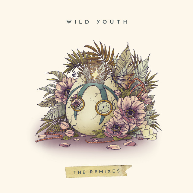 Wild Youth (The Remixes) album cover