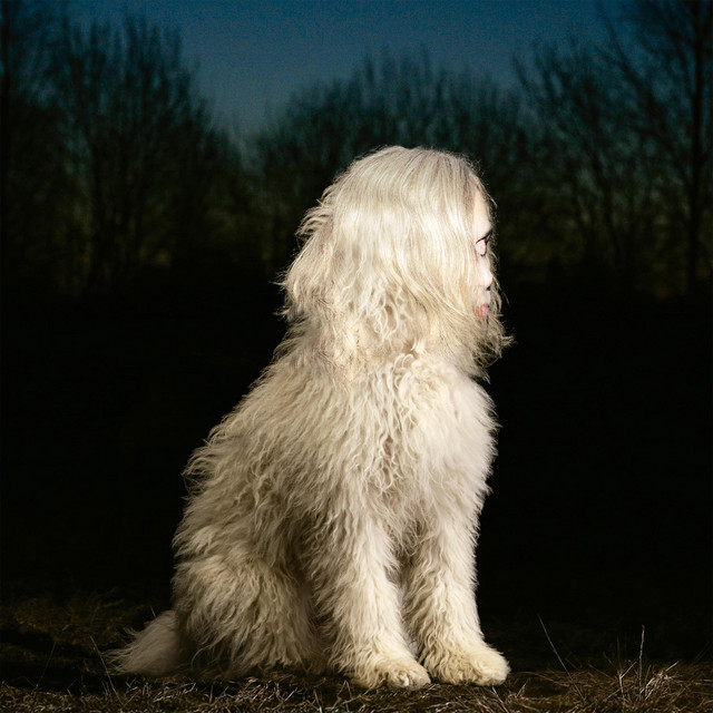 DOGA album cover