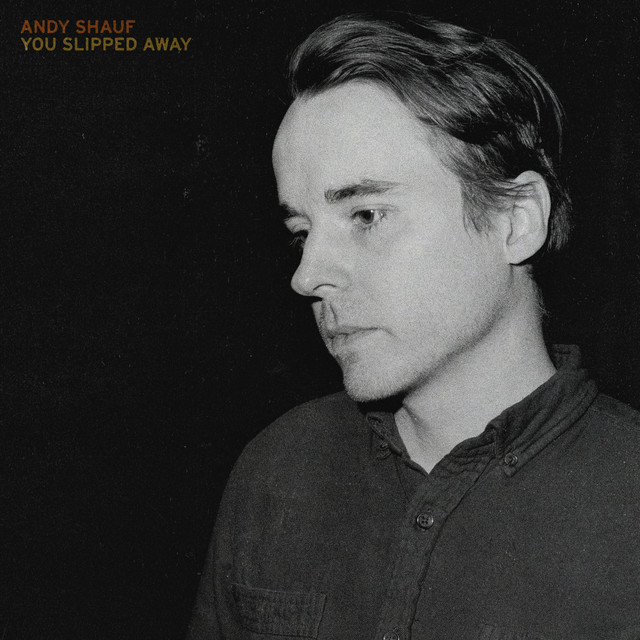 Sigma 000-15S as heard on You Slipped Away by Andy Shauf (2020)