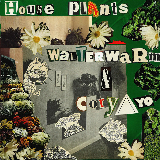 House Plants album cover