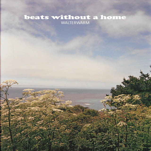 Beats Without a Home album cover