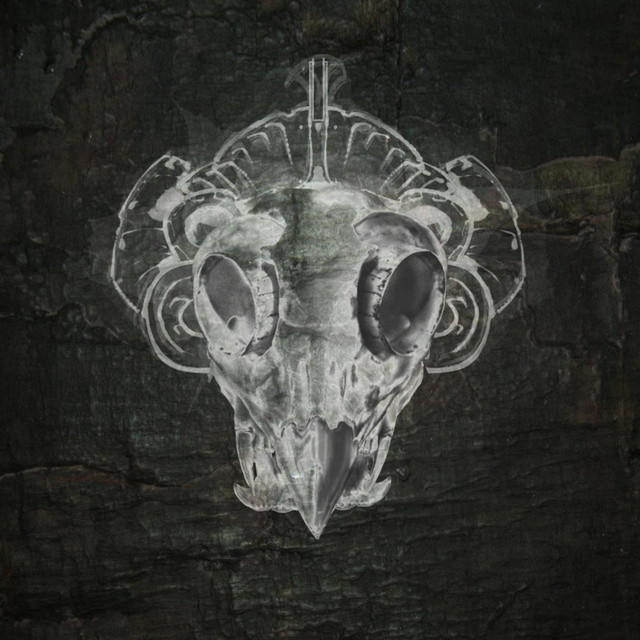 Rainmaker album cover