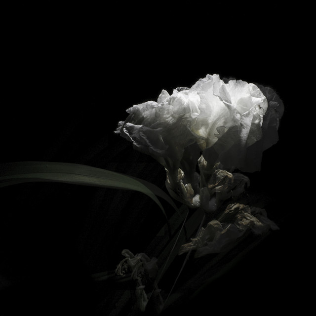 Tell Me True (feat. Adriel Denae) album cover