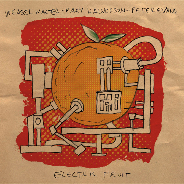 Electric Fruit album cover