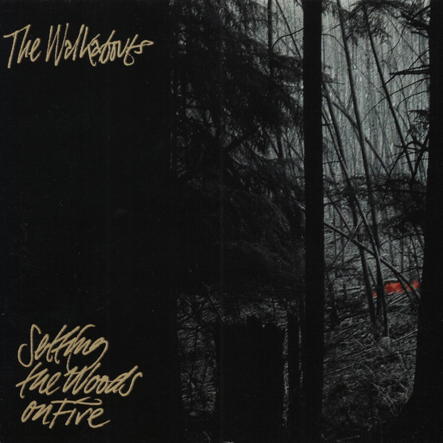Setting the Woods on Fire album cover