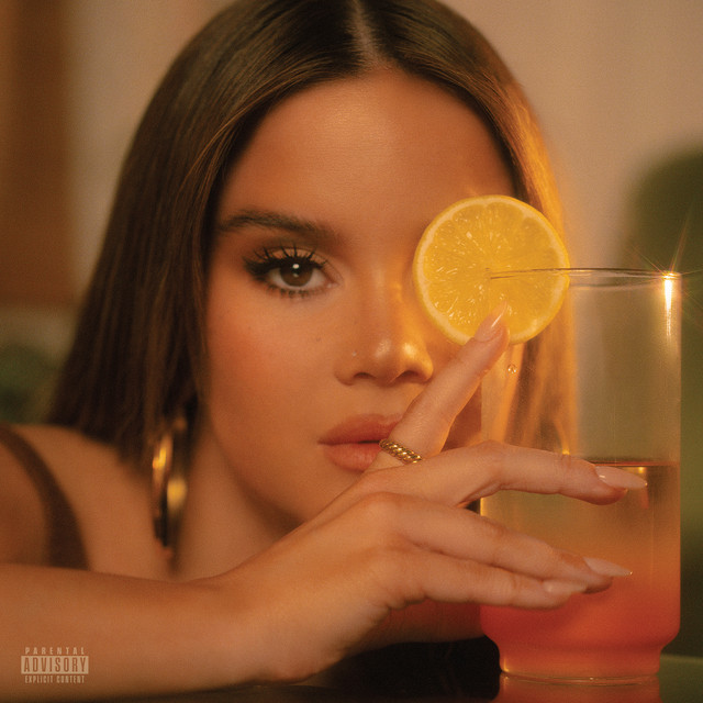 D R E A M S I C L E album cover