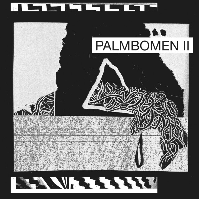 Palmbomen II album cover